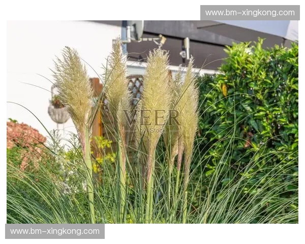 当花园城市的精密撞上潘帕斯草原的狂野：一场横跨半个地球的灵魂对谈——新加坡vs阿根廷